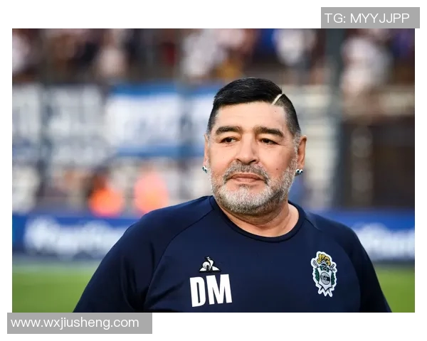 朴姓韩国足球明星的辉煌历程与成就回顾