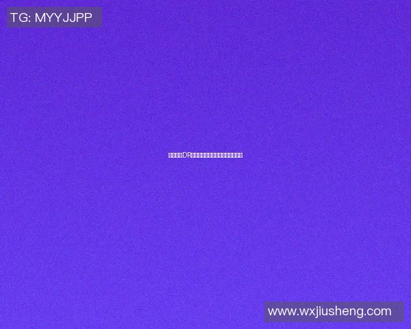 篮球明星DR的传奇之路与篮球梦想的追逐之旅